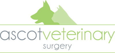 Ascot Veterinary Surgery